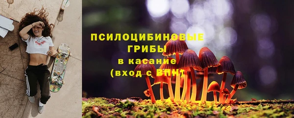 ECSTASY Михайловск