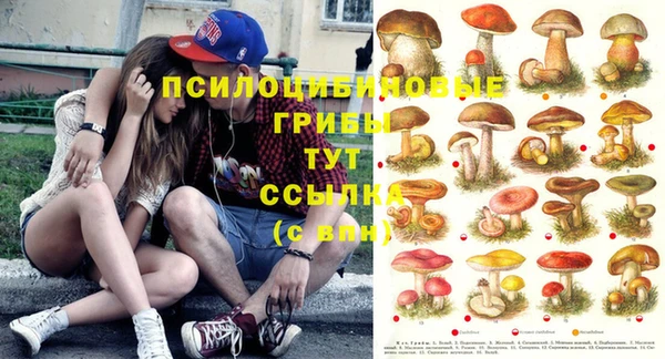 крисы Михайлов
