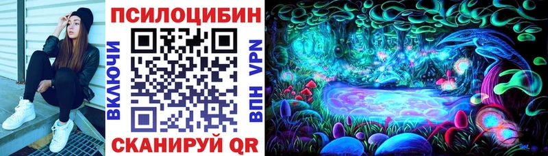 Галлюциногенные грибы Psilocybe  ОМГ ОМГ как зайти  Тайга 