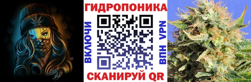 Каннабис MAZAR Тайга